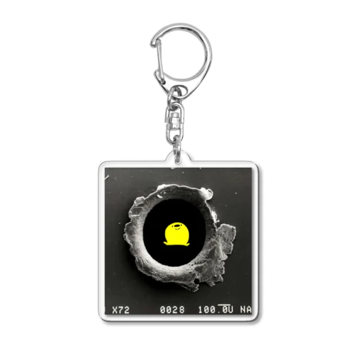 弾痕deぽんぢ君 Acrylic Key Chain