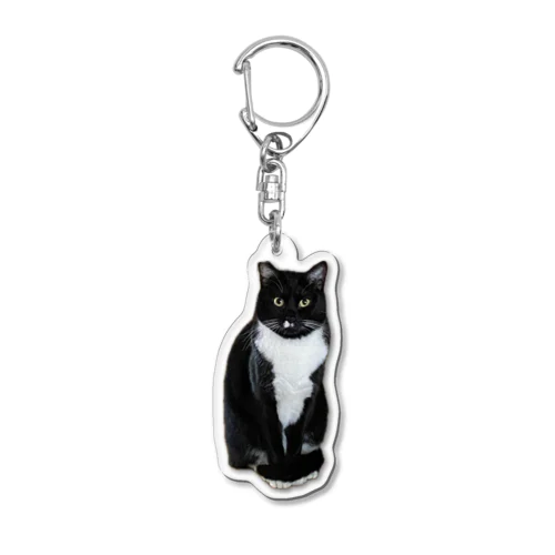 僕は猫。僕と暮らせる幸運な人を探しています。 Acrylic Key Chain