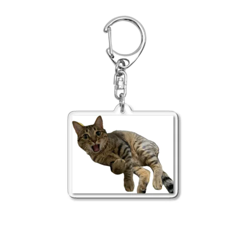 キジトラ猫の直太朗2 Acrylic Key Chain