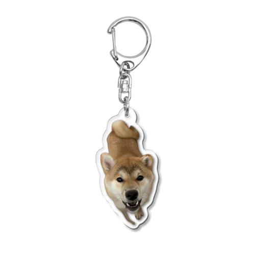 むくりんや、カモメ眉になる。 Acrylic Key Chain