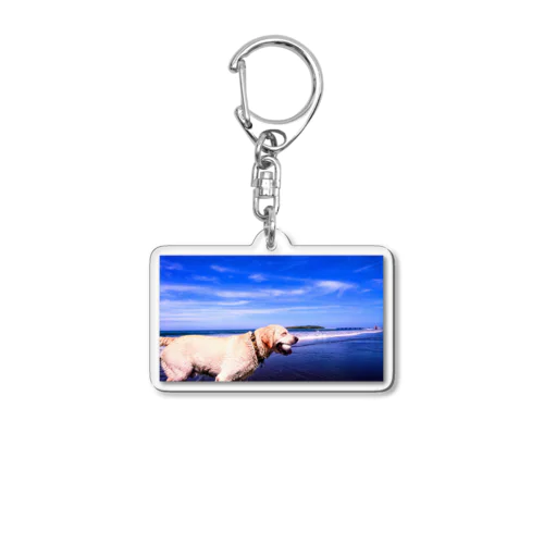 ラブラドール海老蔵 Acrylic Key Chain