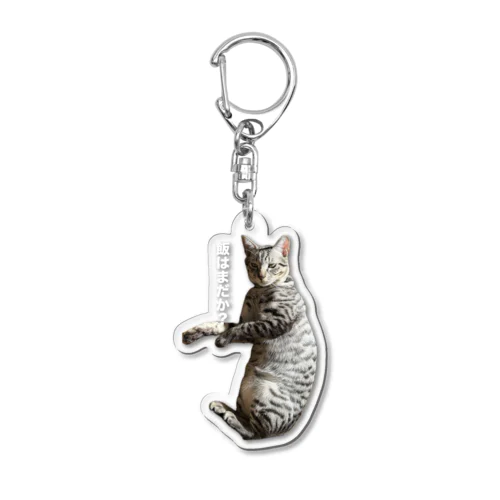 でぶねこ Acrylic Key Chain