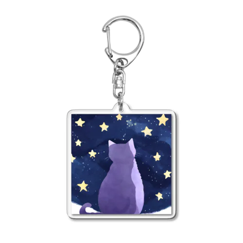 星空を眺めるねこ Acrylic Key Chain