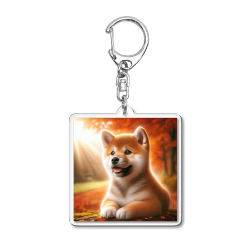 柴犬のくつろぎ Acrylic Key Chain