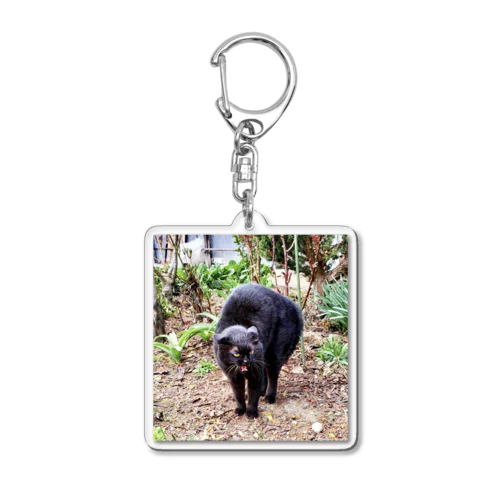 ガチギレねこ Acrylic Key Chain