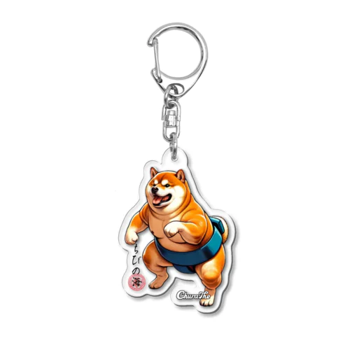 Japawan-chibinoumi Acrylic Key Chain