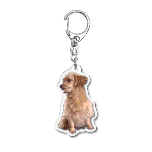 犬　癒し3 Acrylic Key Chain