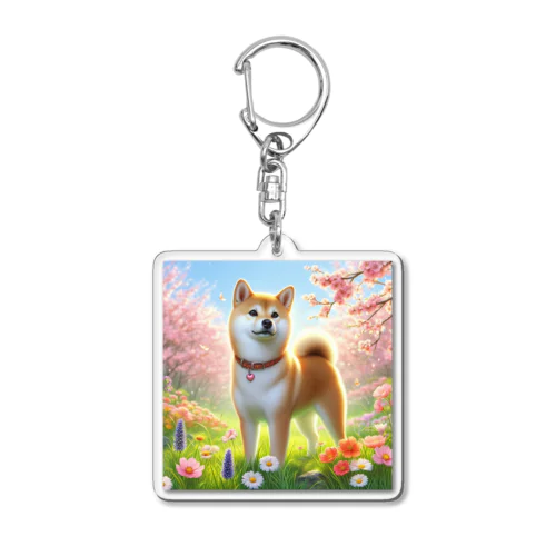 春の柴犬の冒険 Acrylic Key Chain