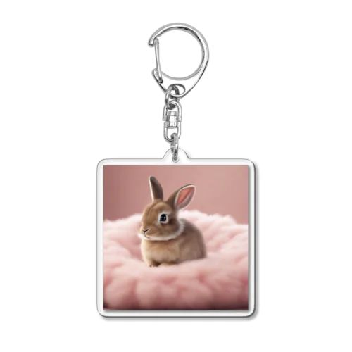 ふわふわのクッションで遊ぶウサギの赤ちゃん Acrylic Key Chain