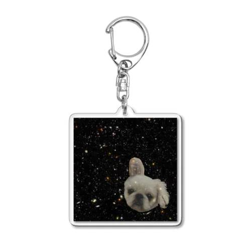 いにゅ、宇宙進出 Acrylic Key Chain