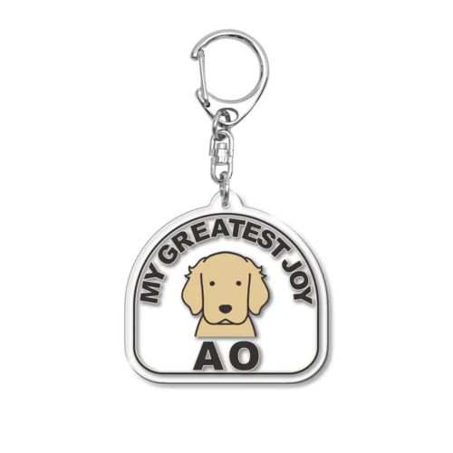 AO Acrylic Key Chain