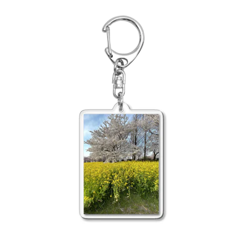 菜の花と桜のKISS Acrylic Key Chain