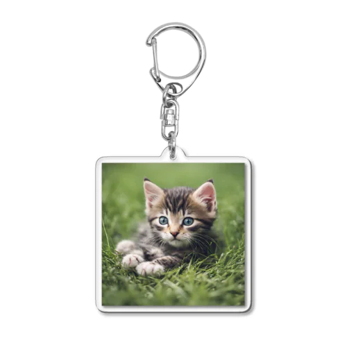 わくわくな気持ちで見つめる子猫 Acrylic Key Chain