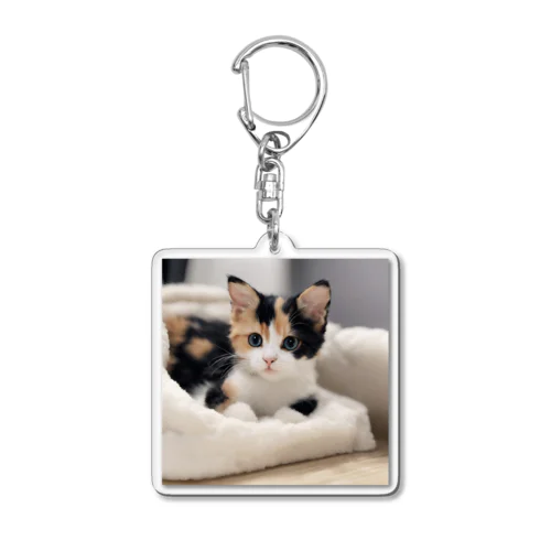 愛らしい子猫ちゃん Acrylic Key Chain