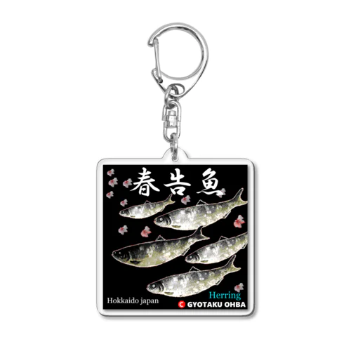 春告魚　鰊（ニシン；Hokkaido japan）あらゆる生命たちへ感謝をささげます。 Acrylic Key Chain