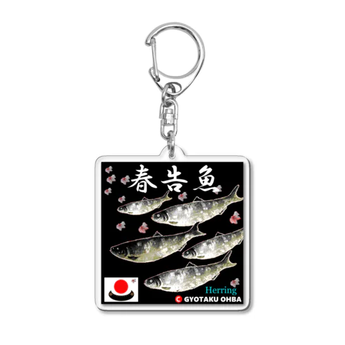 春告魚　鰊（ニシン）あらゆる生命たちへ感謝をささげます。 Acrylic Key Chain