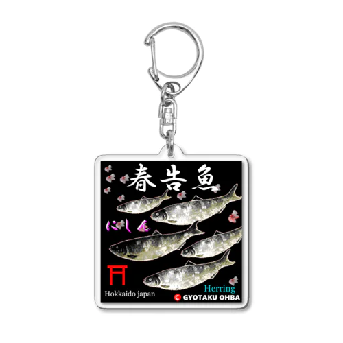 春告魚　鰊  鳥居（ニシン；Hokkaido japan）あらゆる生命たちへ感謝をささげます。 Acrylic Key Chain