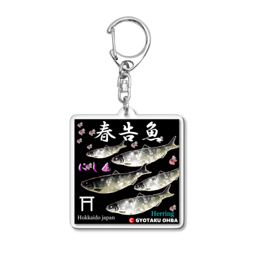 春告魚　鰊  鳥居（ニシン；Hokkaido japan）あらゆる生命たちへ感謝をささげます。 Acrylic Key Chain