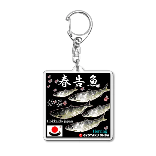 春告魚　浜益（鰊；ニシン；Hokkaido japan）あらゆる生命たちへ感謝をささげます。 Acrylic Key Chain