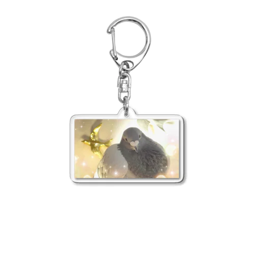 土鳩のポッピ Acrylic Key Chain