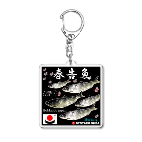 春告魚　珊内（鰊；ニシン；Hokkaido japan）あらゆる生命たちへ感謝をささげます。 Acrylic Key Chain