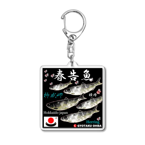 春告魚　神威岬（鰊；ニシン；Hokkaido japan）あらゆる生命たちへ感謝をささげます。 Acrylic Key Chain