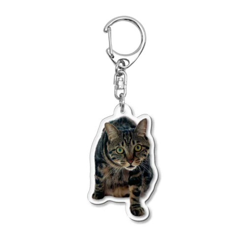 エンジンルーム猫のエンジン２ Acrylic Key Chain