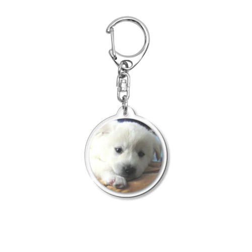 愛犬 レオン Acrylic Key Chain