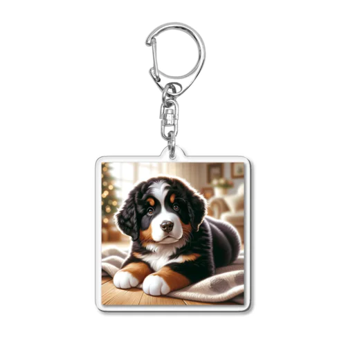 キュンとしちゃう！バーニーズ・マウンテンドッグのパピーが登場🐾 Acrylic Key Chain