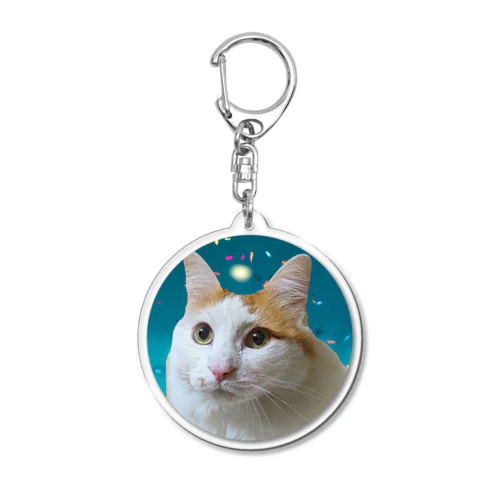 保護猫の福ちゃん① Acrylic Key Chain