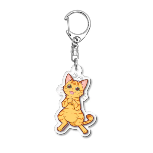 猫・UCHINOKONYAN【チャトラン】 Acrylic Key Chain