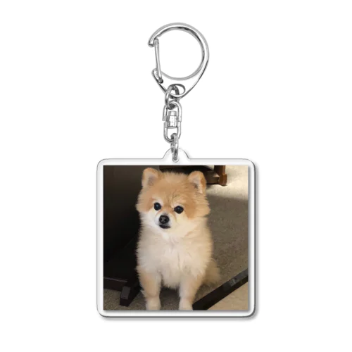 愛犬プリン Acrylic Key Chain