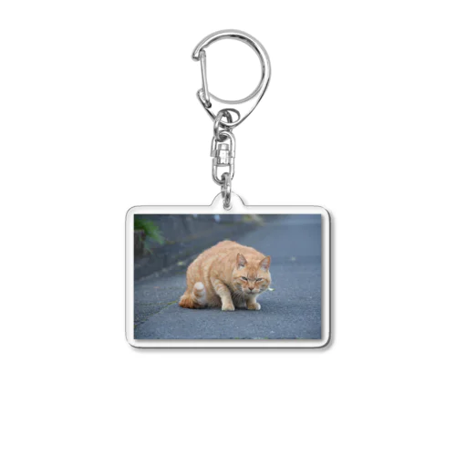 睨む猫 Acrylic Key Chain