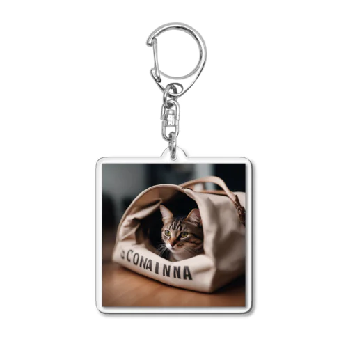 袋に入っている猫 Acrylic Key Chain