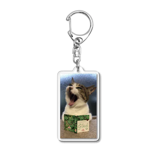 SHABBAT CAT Acrylic Key Chain