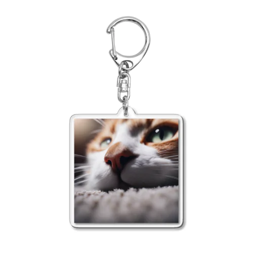 カーペットでごろんとする猫 Acrylic Key Chain