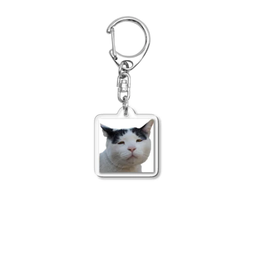ブサかわ猫　ベン Acrylic Key Chain
