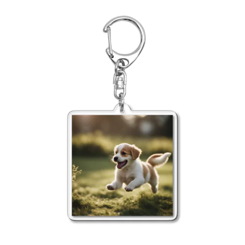 子犬 Acrylic Key Chain