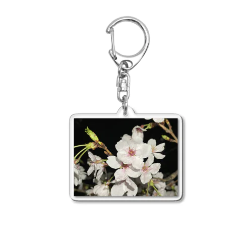 夜桜！満開◎ Acrylic Key Chain