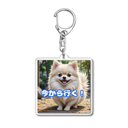 今から行くポメチワ Acrylic Key Chain