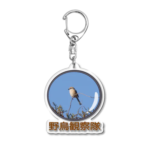 モズ　野鳥観察隊　日本の野鳥 Acrylic Key Chain