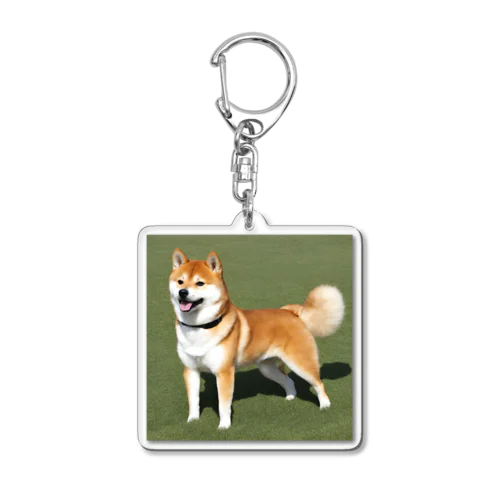 かわいい柴犬　赤毛 Acrylic Key Chain