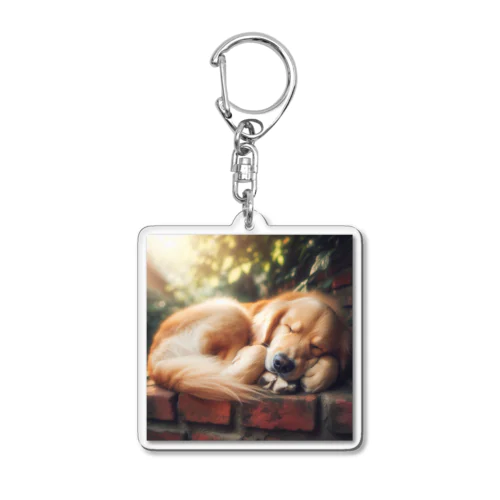 犬がぐっすり眠っている姿、超キュート！🐶💤 Acrylic Key Chain