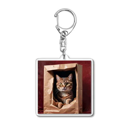 キュートな袋猫 Acrylic Key Chain