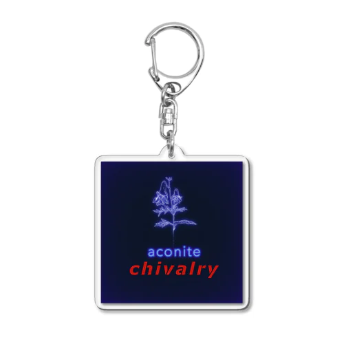chivalry Acrylic Key Chain