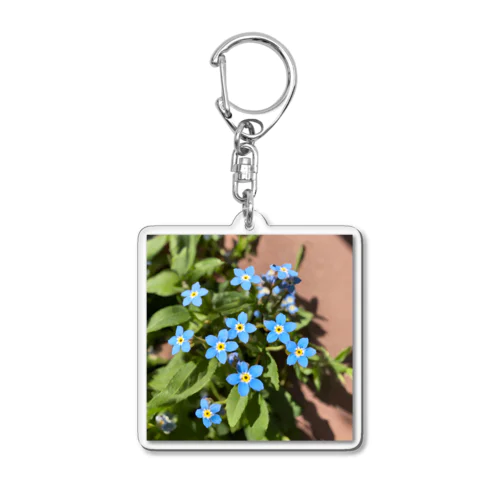 ワスレナグサ　4月５日の誕生花 Acrylic Key Chain