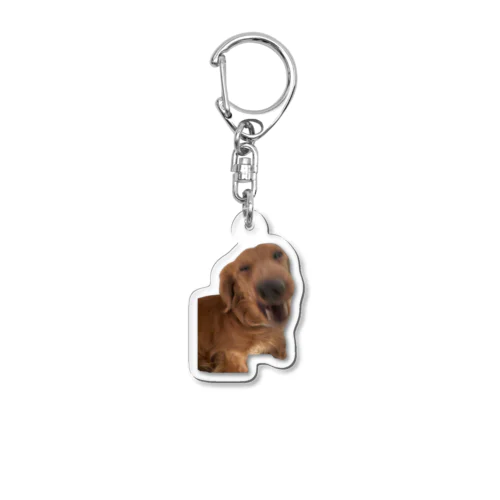 りくぴょんの家の犬🐶 Acrylic Key Chain