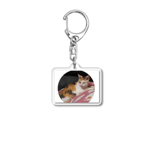 三毛猫の❄ Acrylic Key Chain