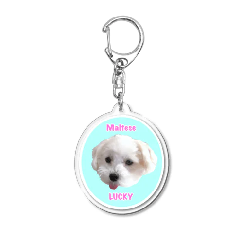 マルチーズのラッキー Acrylic Key Chain