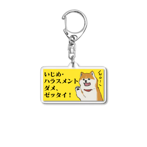 『いじめ・ハラスメント、ダメ、ゼッタイ！』シリーズ Acrylic Key Chain